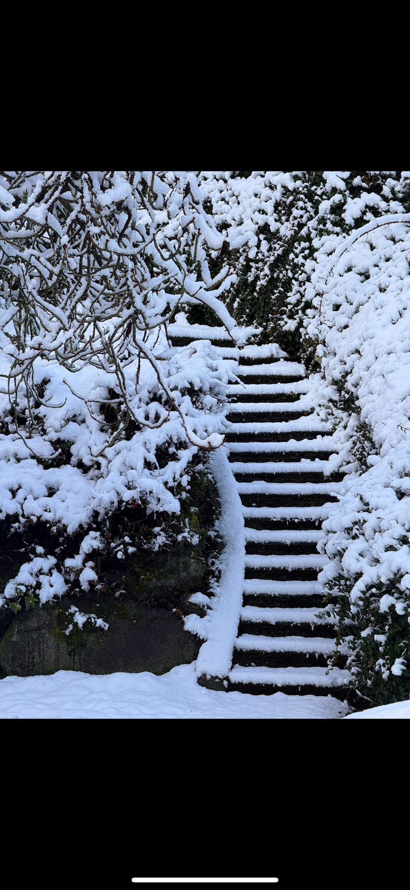 Event Postponed Due to Heavy Snowfall: Stay Safe - Slide 