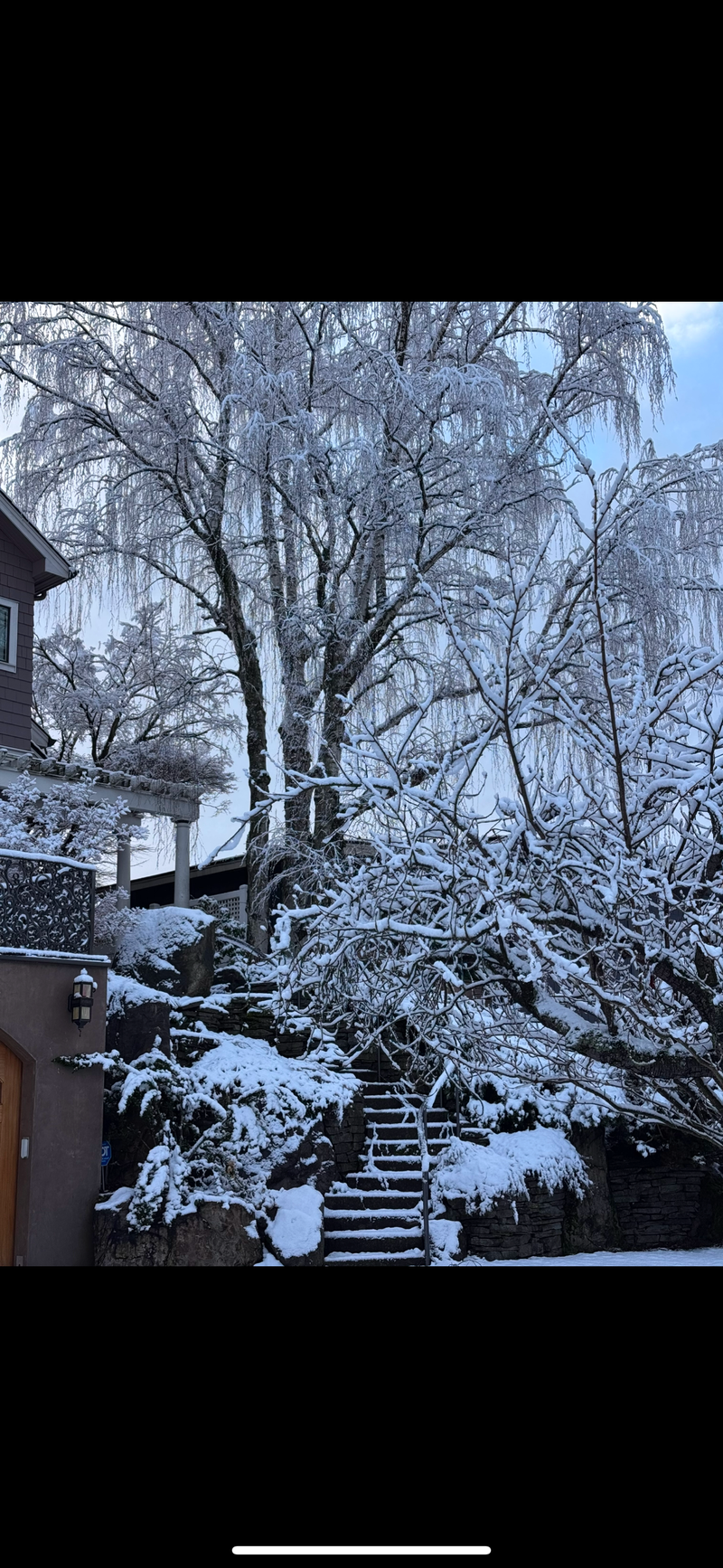 Photo of Heavy Snowfall - Slide 
