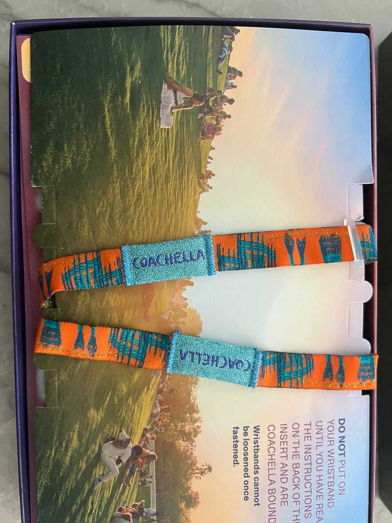 Volunteering at Coachella with Nonprofits - Slide 