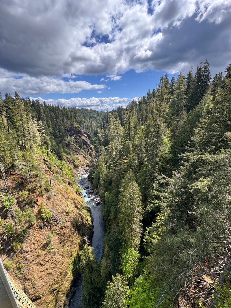 Forest Conservation in the Pacific Northwest During Summer - Slide 