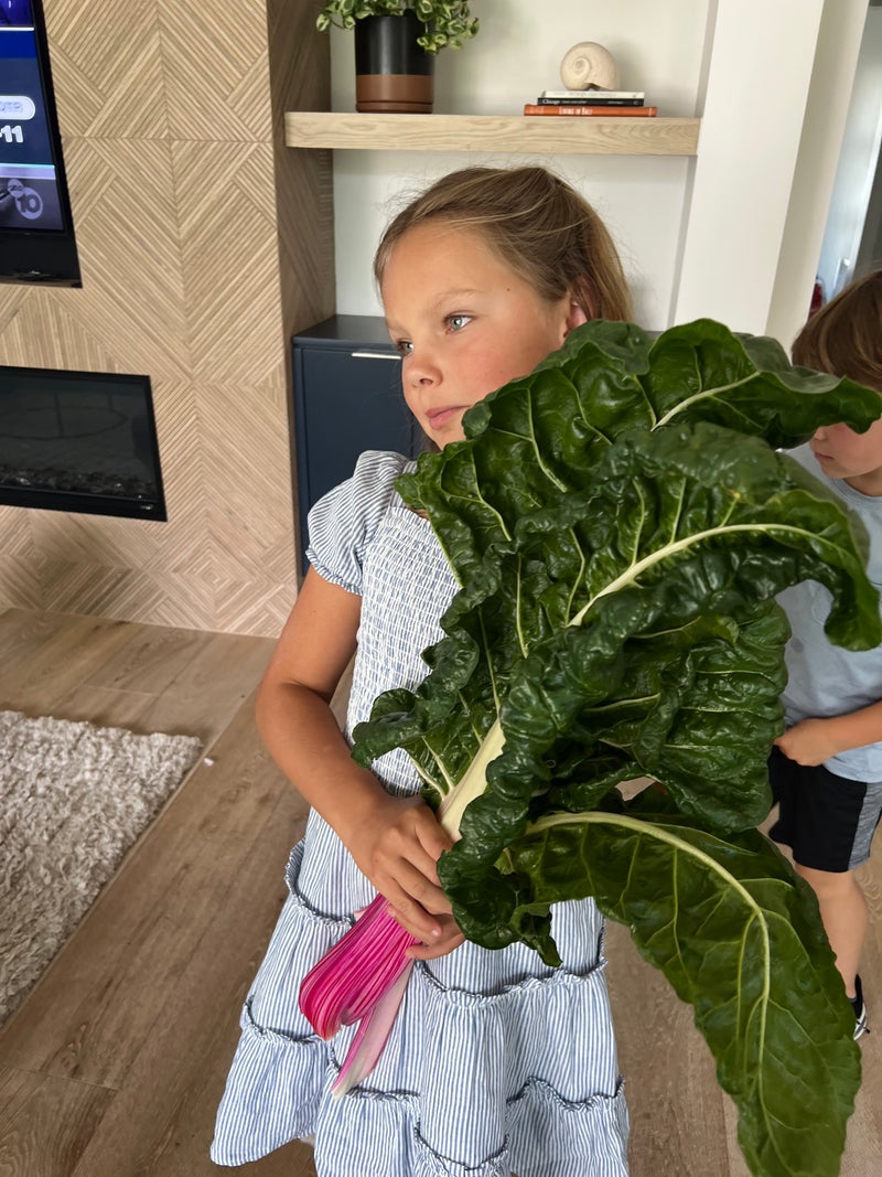 Picking Chard with Niece and Nephew to Feed Homeless - Slide 