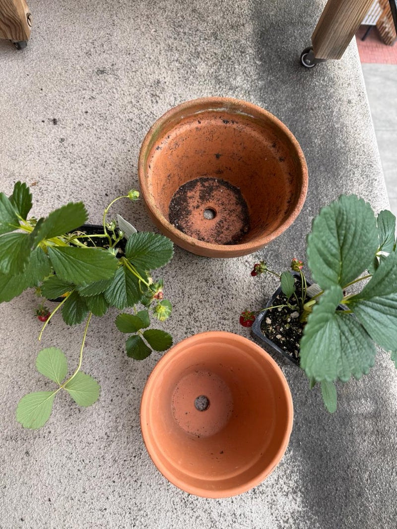 Test Story: 2 Images, 1 Video - Slide 