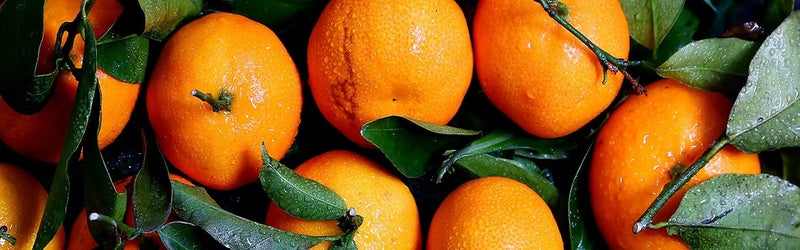 Feeding America Riverside | San Bernardino hero image