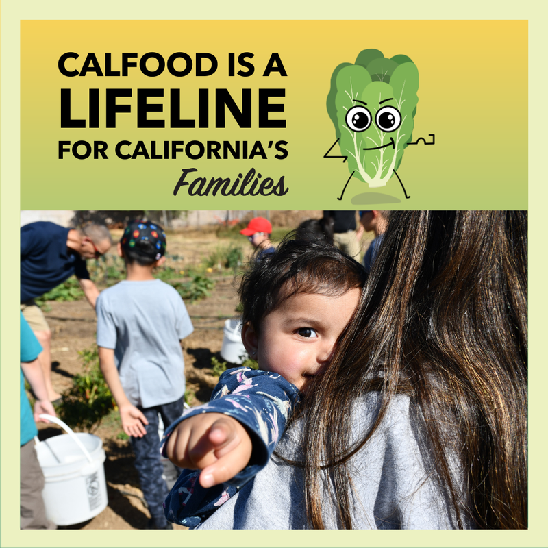 Support CalFood Funding to Sustain California Food Banks - Slide 