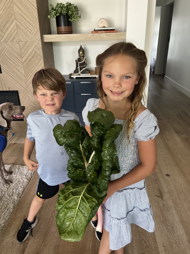 Niece and Nephew Pick Chard for Homeless - Slide 