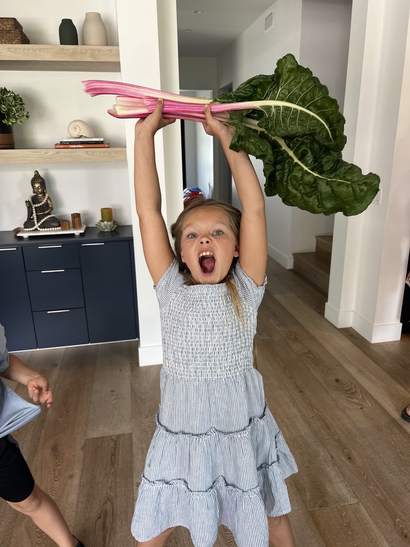 Niece and Nephew Pick Chard for Homeless - Slide 
