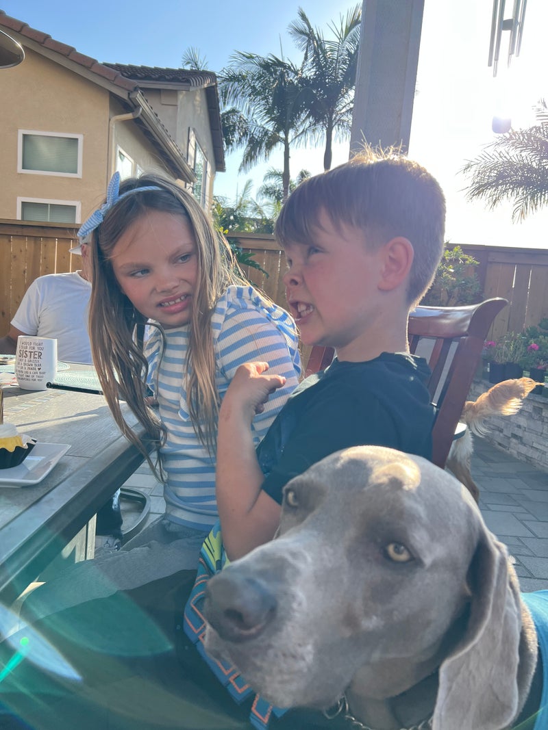 Niece, Nephew, and Dog Volunteer for CauseCircle - Slide 