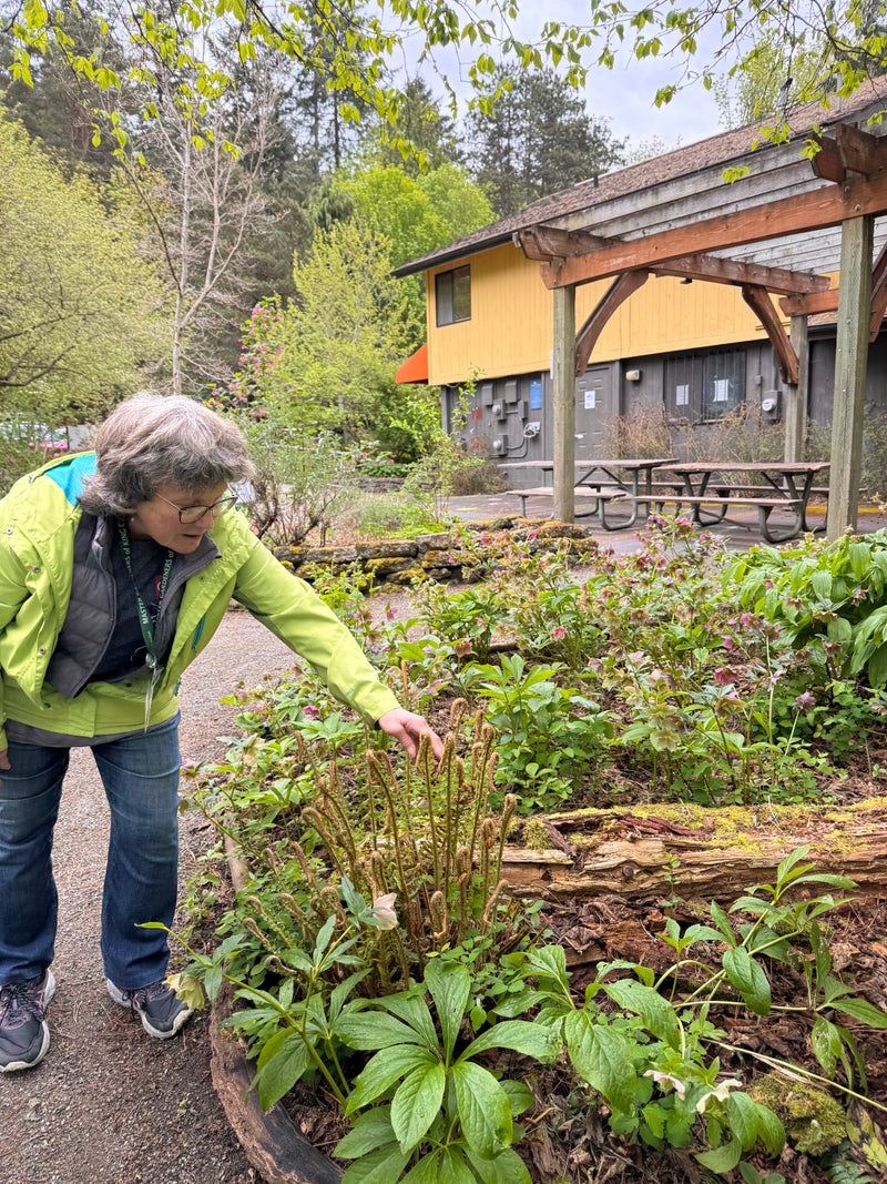 Exploring Carkeek Park: A Journey of Ecology and Community Care - Slide 