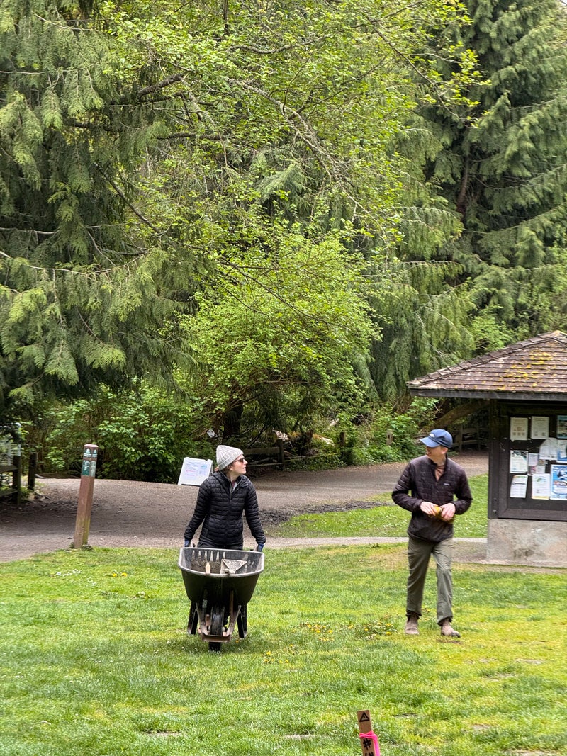 Exploring Carkeek Park: A Journey of Ecology and Community Care - Slide 