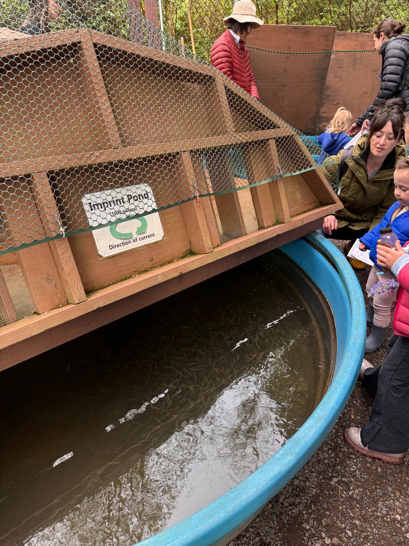 Exploring Carkeek Park: A Journey of Ecology and Community Care - Slide 